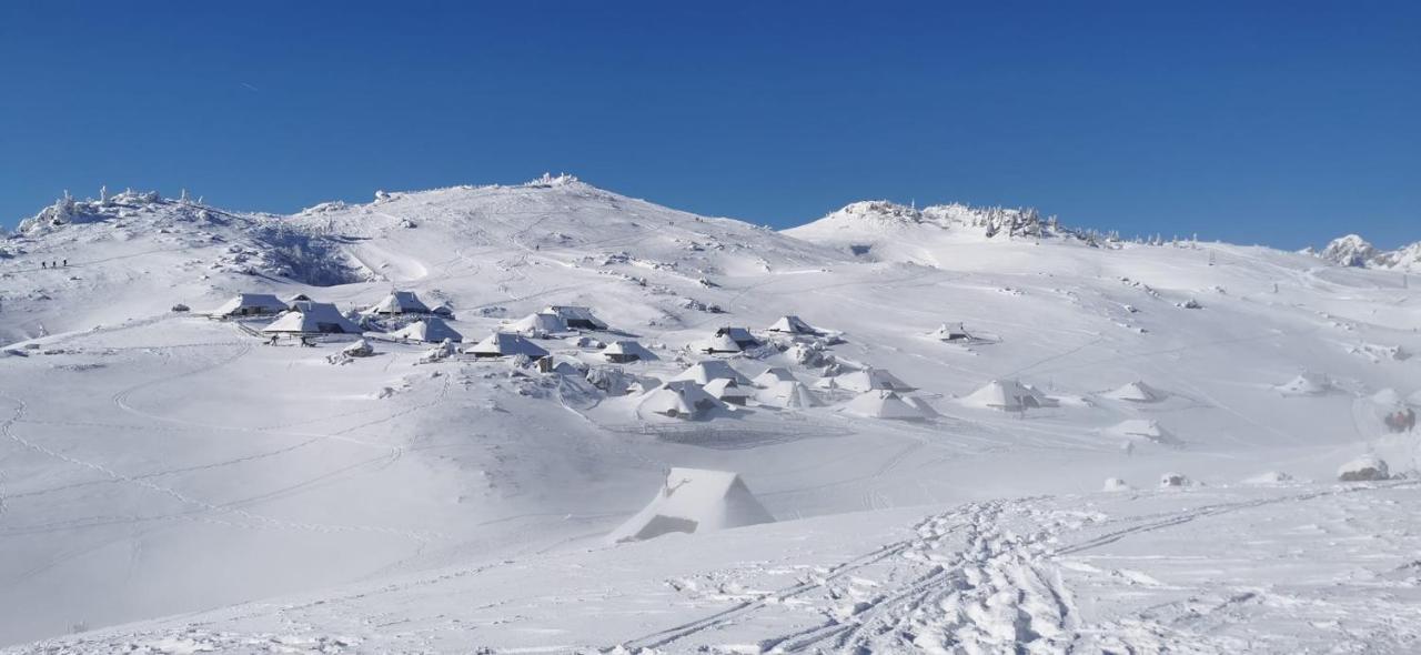 Villa Koca Predilnica Velika Planina Kamniska Bistrica Exterior foto
