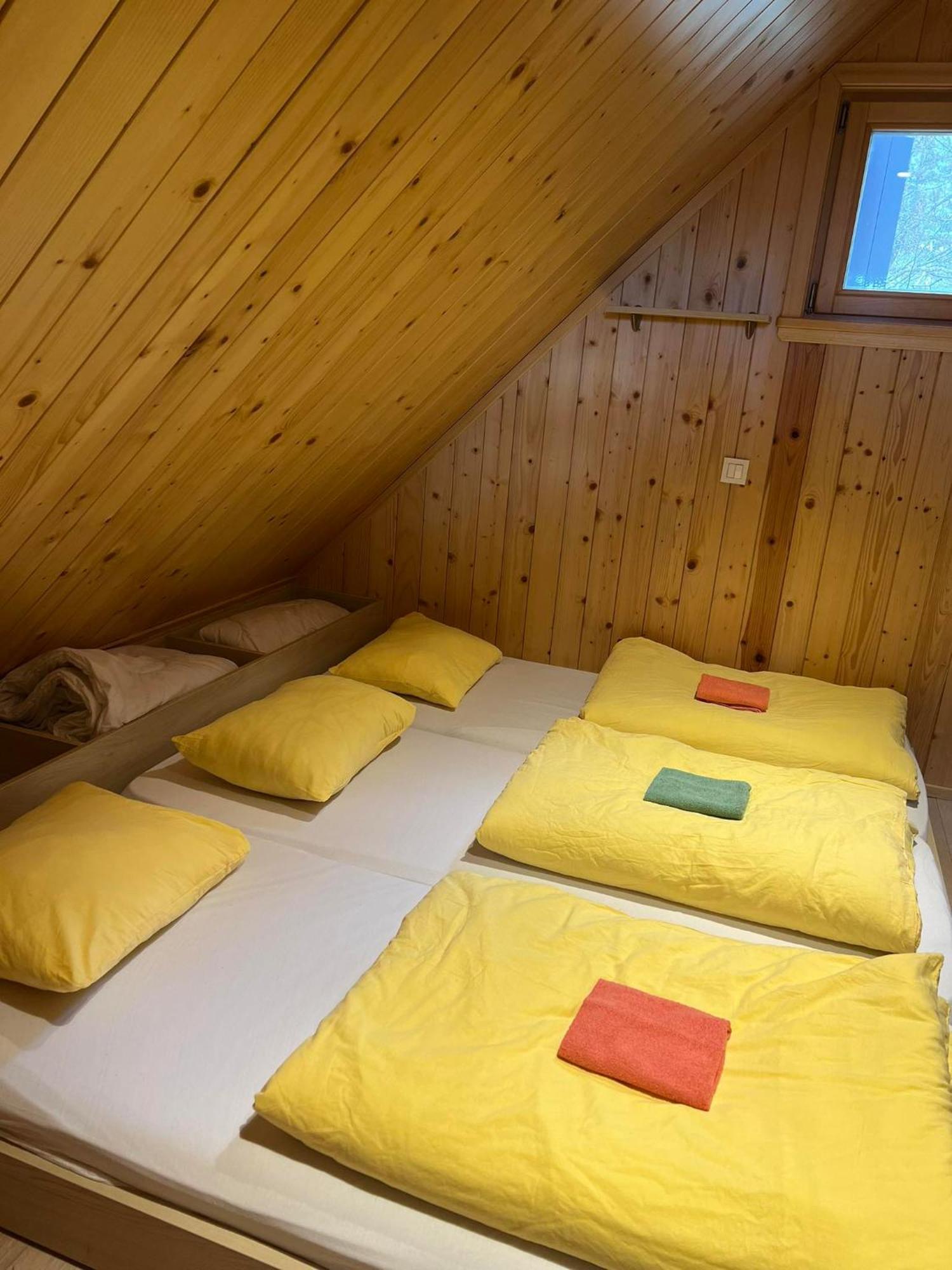 Villa Koca Predilnica Velika Planina Kamniska Bistrica Exterior foto