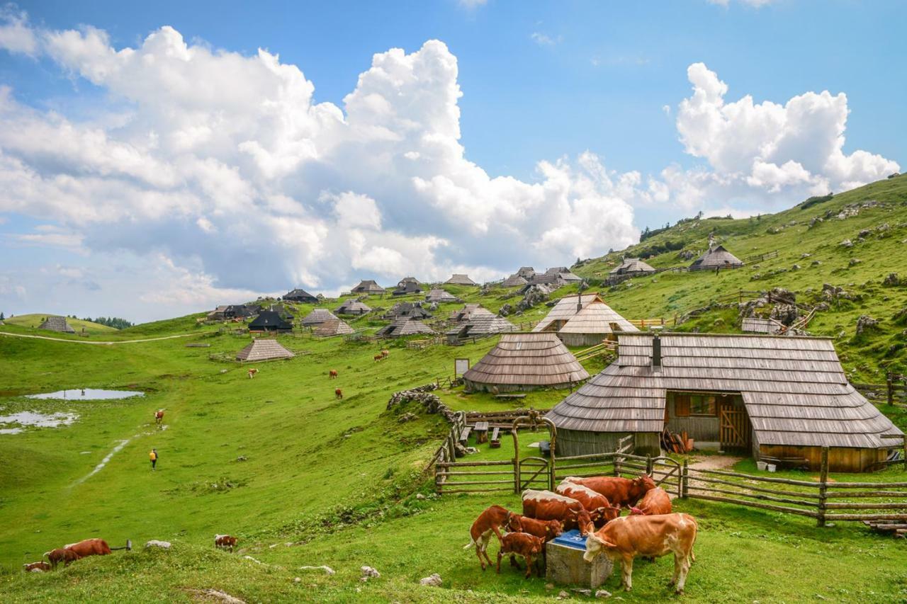 Villa Koca Predilnica Velika Planina Kamniska Bistrica Exterior foto